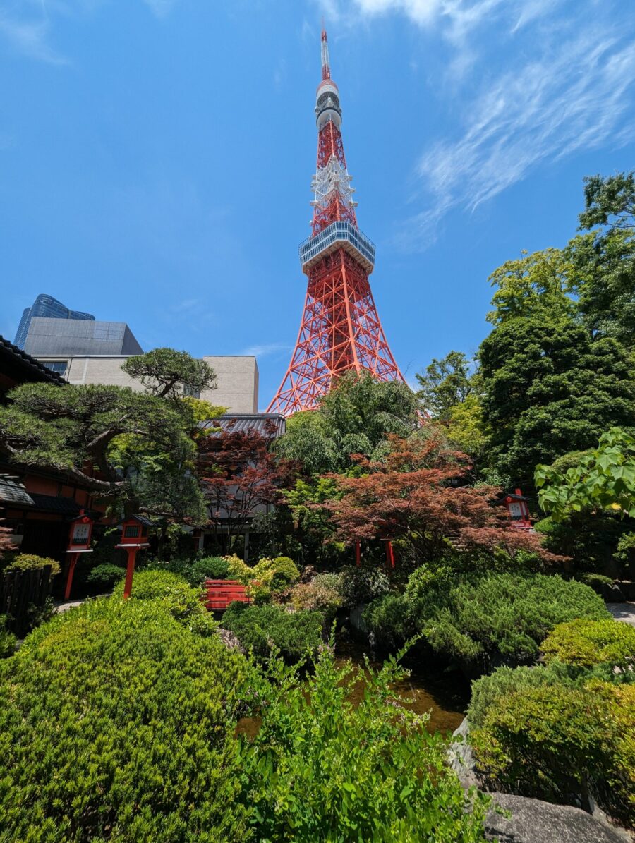 17 Days in Japan: Overpacked and on the Road